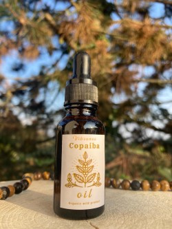 Copaiba oil, Copaifera langsdorffii