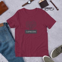 Zodiac sign Capricorn unisex t-shirt, Horoscope