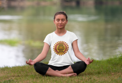 Owl spirit animal mandala unisex T-shirt orange