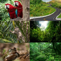 Digital Wall Collage